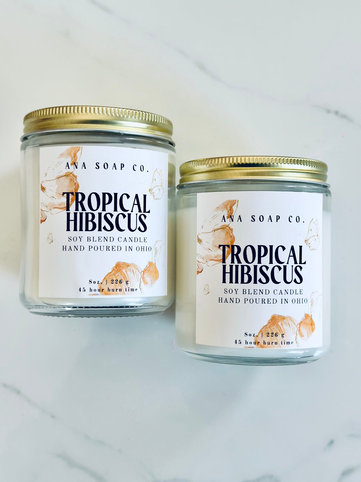Tropical Hibiscus